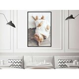  Poster - Kitten Life 30x45 | shoptok.hr