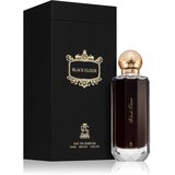 Aurora Black Elixir parfumska voda za moške 100 ml | Shoptok.si