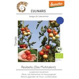 Culinaris Bio paradižnik na prosto Resibella Cene