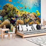 Artgeist Fototapeta Underwater Land, 400x280cm | Shoptok.si