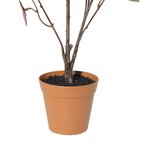 Mömax Umetna Rastlina Eukalyptus -Paz- | Shoptok.si