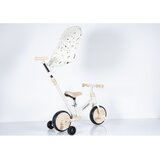 Winner Bike Dečiji tricikl 5 u 1 sa ručkom i tendom | Eponuda.com