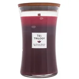 Sveća Trilogy Medium Sun Ripened Berries 92972E