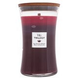 WoodWick trilogy Sun Ripened Berries mirisna svijeća 610 g | shoptok.hr
