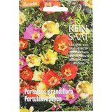 ReinSaat Velecvetni tolščak '' portulaca grandiflora '' Cene