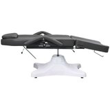 vidaXL Masažna miza siva 180x62x(86,5-118) cm | Shoptok.si