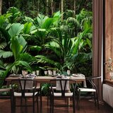 Foto tapeta - Freshness of the Jungle 350x256 | shoptok.hr