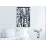  Poster - Winter Birch Trees 20x30 | shoptok.hr