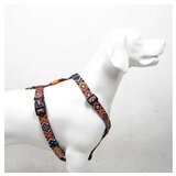 Paws & Whiskers Am za pse Ethnic XS Cene