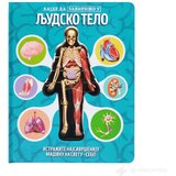 VULKAN Knjige za decu i bebe Hajde da zavirimo u LJUDSKO TELO Cene