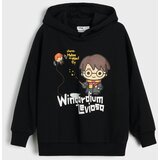 Sinsay Oversize hoodie s printom Harry Potter | shoptok.hr