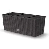 Case cvetlično korito vključ. z zalivalnim sistemom, rjava - L 51,4 cm