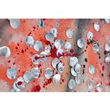  Naslikana slika na platnu ženska 1-delna CFAZH6233E1 - 60x60 cm () | shoptok.hr