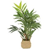 MID.YOU Umetna Rastlina Chamaedorea | Shoptok.si