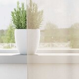 Voile zavjese s ušicama 2 kom krem 140x300 cm | shoptok.hr
