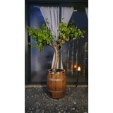  Sadilica za hrastovu bačvu (50L) | shoptok.hr