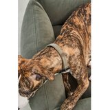MiaCara Kadulja zeleni krevet za pse 120x93 cm Comodo Sage L – | shoptok.hr