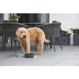 MiaCara Porculanska zdjela za hranu za ljubimce za pse ø 20 cm Scodella Cement M/L – | shoptok.hr
