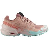 Salomon Nizke superge 477665 pisana Cene