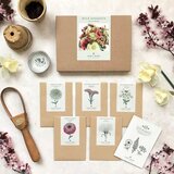 Jora Dahl Wild Bouquet "Zinnia Collection" set semen Cene