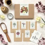 Wild Bouquet "Zinnia Collection" set semen