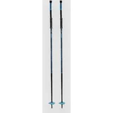 Legion Smucarske palice blue