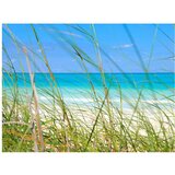  Tapeta - Tropical journey 400x309 | shoptok.hr