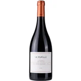 syrah