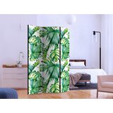 Artgeist PARAVAN 135/172/3 cm bela, svetlo zelena | Shoptok.si