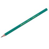 Bic Evolucijska Svinčnik HB 650 brez Radirke, (22138835) | Shoptok.si