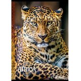 STREET Zvezek Africa A4 črte | Shoptok.si