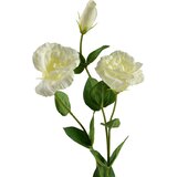 Mondex Umetna roža gumirana Viridis Eustoma 70 cm zelena 1 kos, (5000305453) Cene