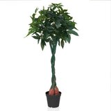 MID.YOU Umetna Rastlina Pachira Cene