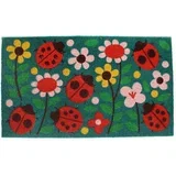 Predpražnik iz kokosovih vlaken 73x43 cm Ladybird –