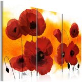  Slika - Sunny afternoon and poppies 120x80 Cijene