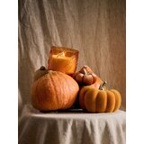 Sinsay Staklena mirisna svijeća Pumpkin Harvest | shoptok.hr
