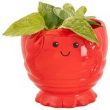 Sass & Belle Keramičen okrasni cvetlični lonec ø 10 cm Lobster – | Shoptok.si