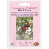 TROPICA Bio paradižnik "Black Plum"