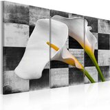  Slika - callas (vintage) 120x80 Cijene