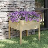 vidaXL Vrtna sadilica 70 x 70 x 70 cm od masivne borovine Cijene