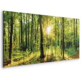  Slika - Magic Forest 225x90 Akustična | shoptok.hr