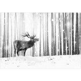  Tapeta - Deer in the Snow (Black and White) 100x70 | shoptok.hr