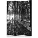  Paravan u 3 dijela - Grey Wilderness [Room Dividers] 135x172 Cijene