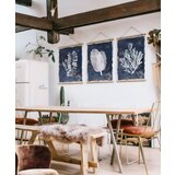 Wallity slika SRG26, 3 dela, 40 x 60 cm Cene