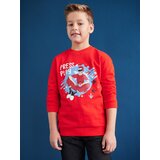 Sinsay gornji dio trenirke s printom 8640Q-29X | shoptok.hr