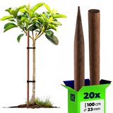KADAX leseni koli, impregnirani koli, 100 cm, podporne palice, 20 kosov, Fi 23 mm, (5000362369) | Shoptok.si