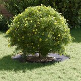  Pogodno za ravni drveni prsten Antracit Ø30 / 60 cm Čelik | shoptok.hr