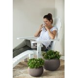 Keter COZY S POSODA ZA ROŽE S SETOM ZA OBEŠANJE | Shoptok.si