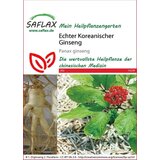 Saflax Pravi korejski ginseng Cene