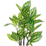 Casa Selección Umetne rastline v kompletu 2 ks (višina 28 cm) – | Shoptok.si